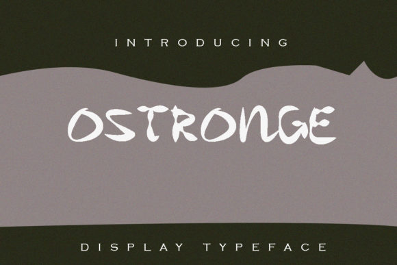 How Choosing the Right Display Font Transformed My Small Business Branding
