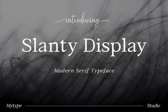 Slanty Display: A Modern Serif Font for Elegant Craft and Product Design